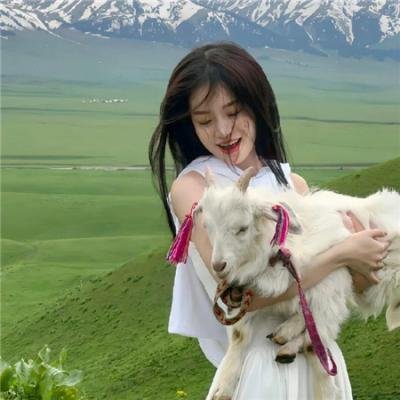 秃鹰72小时