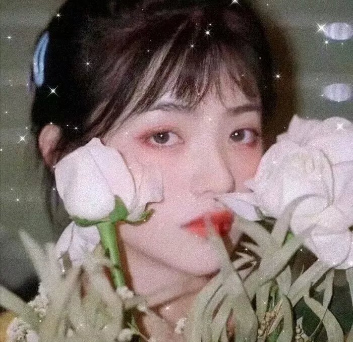 毫不神圣